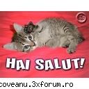 Care e cel mai bataus din liceu? - mai....lasatil p codrin k nu are dea face cu - "Picant"