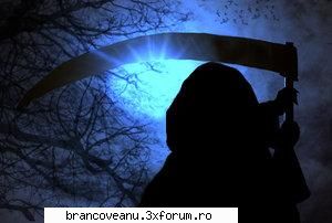 sau mai pe scurt lui klash ii plac filmele horror;) filme !