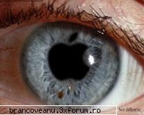 care vor semnaturi personale sa posteze aici despre ce vor si o sa le fac. oferta valabila doar