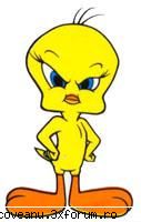 cea mai nasoala clasa !!!!!! din tot liceu - ha ha ha bei de tweety sa nu te iei sti - Cea mai tare clasa !!!
